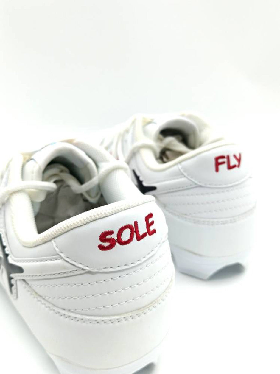 SF1 “Heart on Ice”